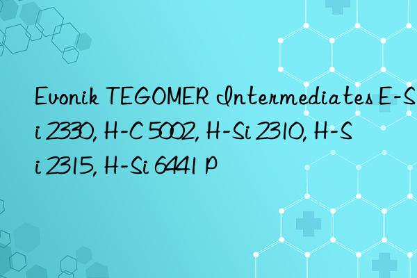 Evonik TEGOMER Intermediates E-Si 2330, H-C 5002, H-Si 2310, H-Si 2315, H-Si 6441 P