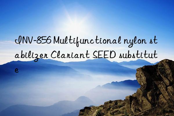 INV-856 Multifunctional nylon stabilizer Clariant SEED substitute