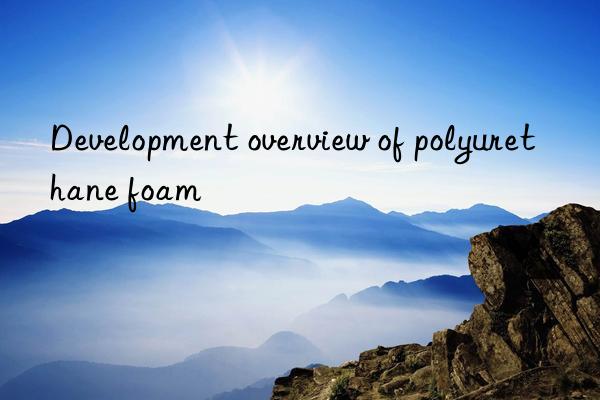 Development overview of polyurethane foam