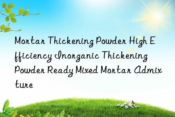 Mortar Thickening Powder High Efficiency Inorganic Thickening Powder Ready Mixed Mortar Admixture