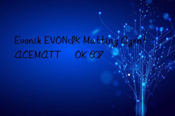 Evonik EVONIK Matting Agent ACEMATT® OK 607