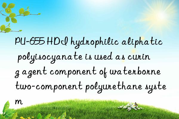 PU-655 HDI hydrophilic aliphatic polyisocyanate is used as curing agent component of waterborne two-component polyurethane system