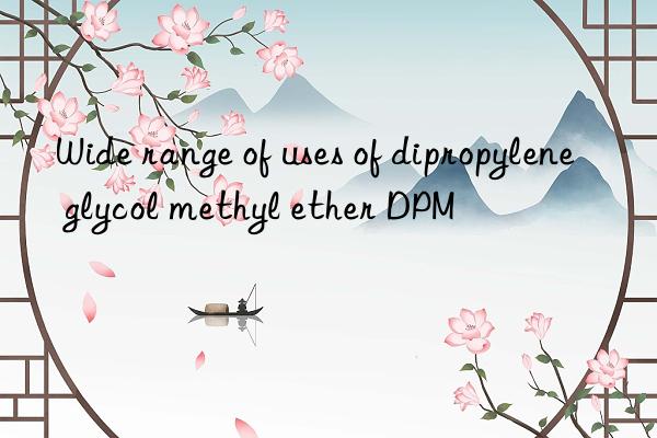 Wide range of uses of dipropylene glycol methyl ether DPM