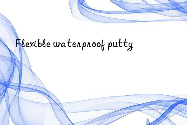 Flexible waterproof putty