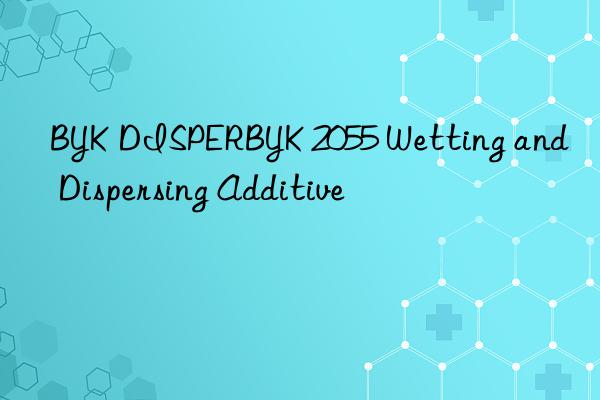 BYK DISPERBYK 2055 Wetting and Dispersing Additive