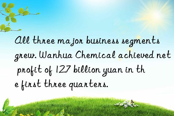 All three major business segments grew. Wanhua Chemical achieved net profit of 12.7 billion yuan in the first three quarters.