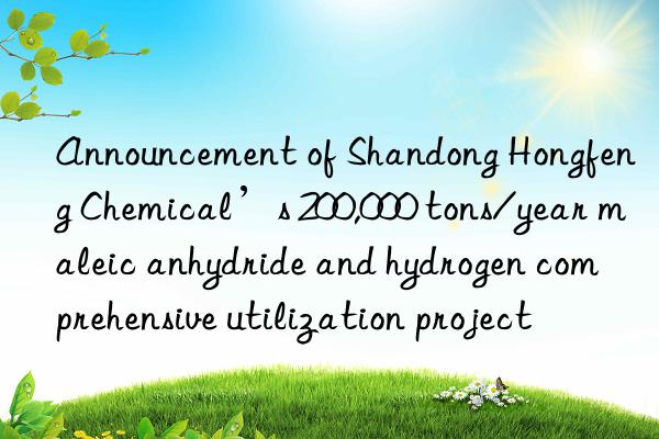 Announcement of Shandong Hongfeng Chemical’s 200,000 tons/year maleic anhydride and hydrogen comprehensive utilization project