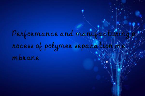 Performance and manufacturing process of polymer separation membrane