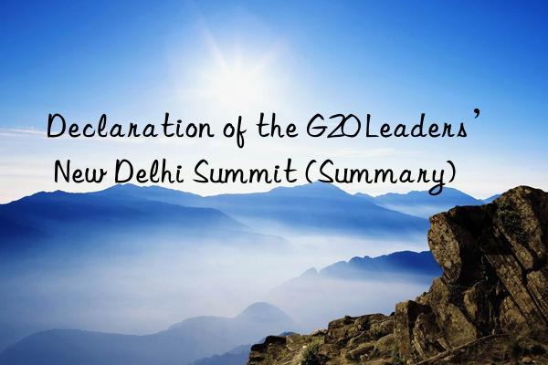 Declaration of the G20 Leaders’ New Delhi Summit (Summary)