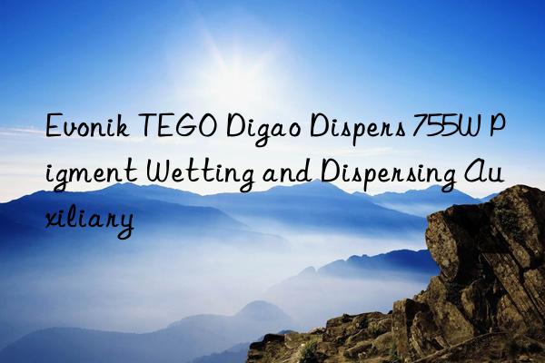 Evonik TEGO Digao Dispers 755W Pigment Wetting and Dispersing Auxiliary