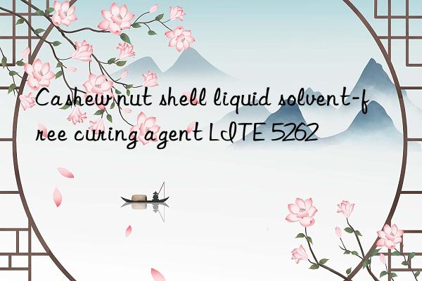 Cashew nut shell liquid solvent-free curing agent LITE 5262