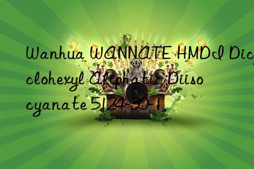 Wanhua WANNATE HMDI Dicyclohexyl Aliphatic Diisocyanate 5124-30-1