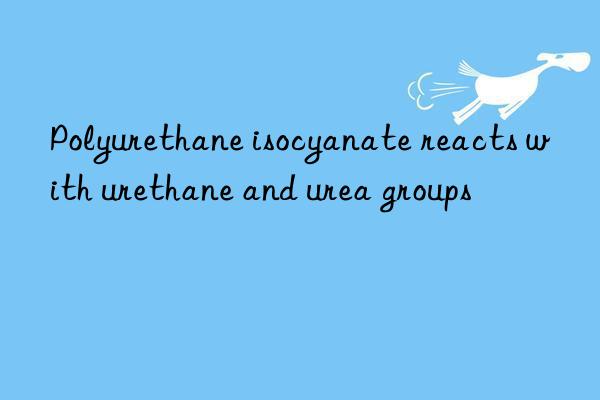 Polyurethane isocyanate reacts with urethane and urea groups