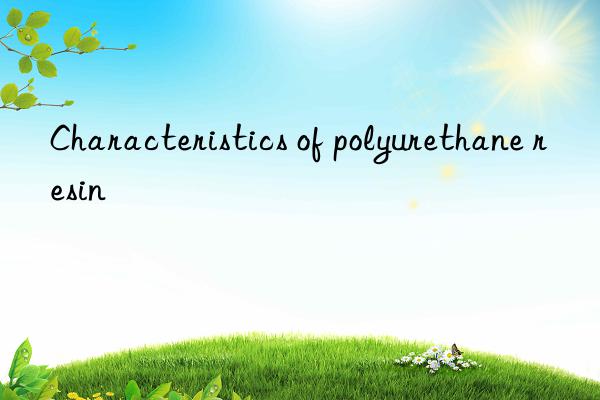 Characteristics of polyurethane resin