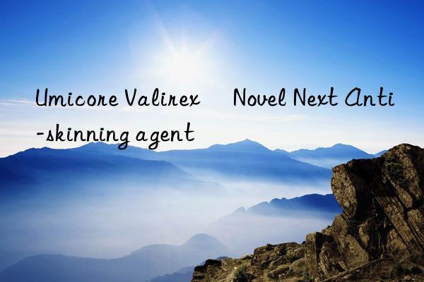 Umicore Valirex® Novel Next Anti-skinning agent