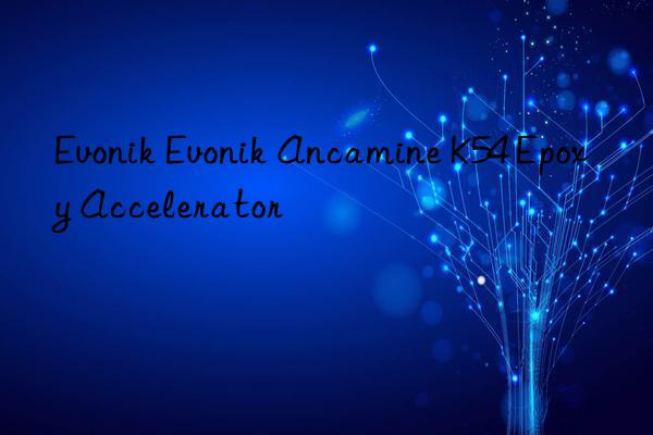 Evonik Evonik Ancamine K54 Epoxy Accelerator