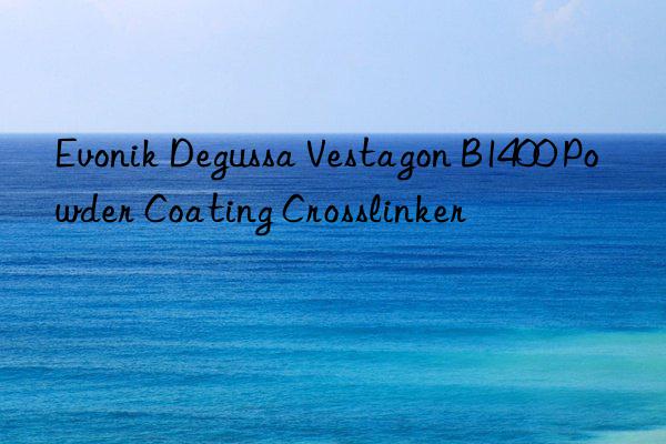 Evonik Degussa Vestagon B1400 Powder Coating Crosslinker