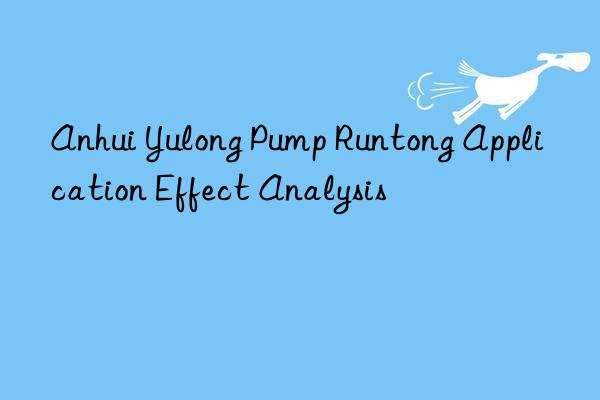 Anhui Yulong Pump Runtong Application Effect Analysis