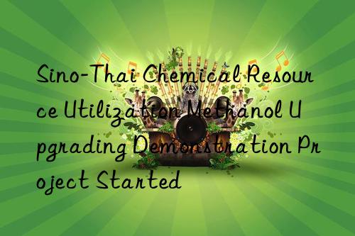 Sino-Thai Chemical Resource Utilization Methanol Upgrading Demonstration Project Started