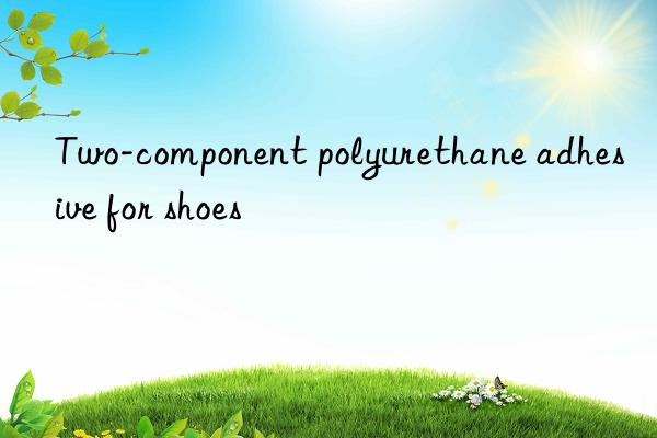 Two-component polyurethane adhesive for shoes