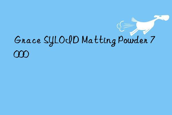 Grace SYLOID Matting Powder 7000