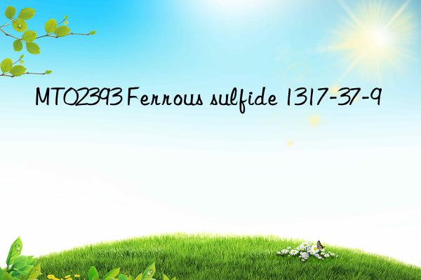 MT02393 Ferrous sulfide 1317-37-9