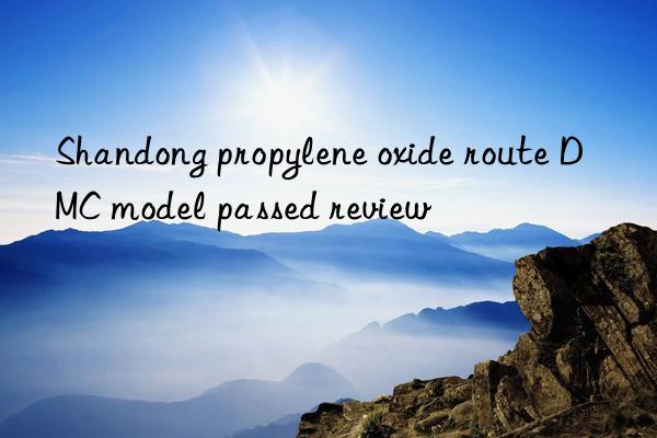 Shandong propylene oxide route DMC model passed review