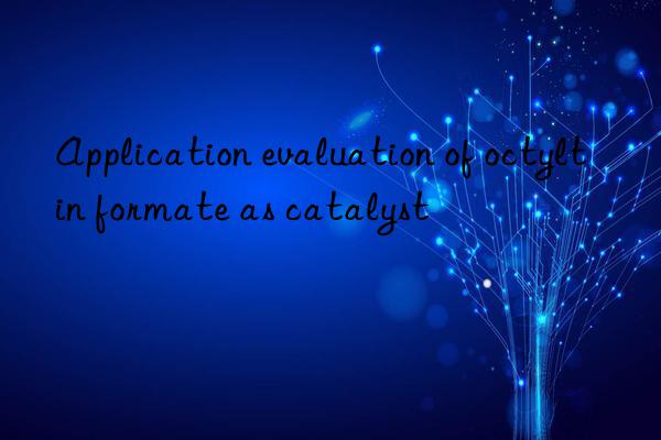 Application evaluation of octyltin formate as catalyst