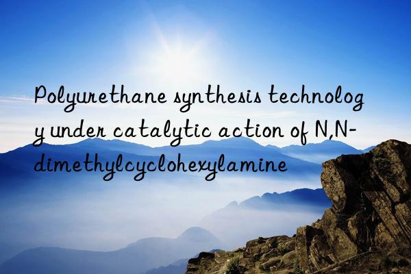 Polyurethane synthesis technology under catalytic action of N,N-dimethylcyclohexylamine
