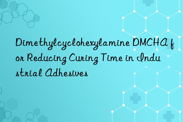 Dimethylcyclohexylamine DMCHA for Reducing Curing Time in Industrial Adhesives