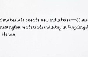 Old materials create new industries—A survey on new nylon materials industry in Pingdingshan  Henan