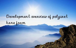 Development overview of polyurethane foam