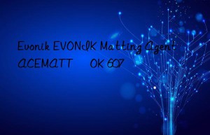 Evonik EVONIK Matting Agent ACEMATT® OK 607