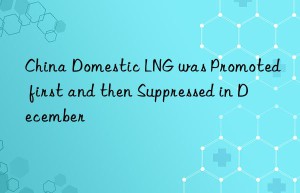 China Domestic LNG was Promoted first and then Suppressed in December