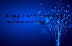 Weigu glue-injection broken bridge insulation technology