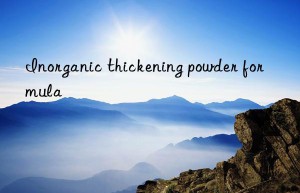 Inorganic thickening powder formula