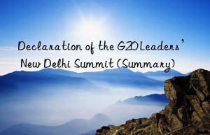 Declaration of the G20 Leaders’ New Delhi Summit (Summary)