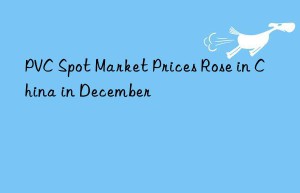 PVC Spot Market Prices Rose in China in December