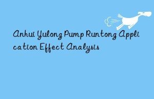 Anhui Yulong Pump Runtong Application Effect Analysis