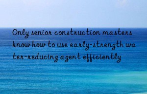 Only senior construction masters know how to use early-strength water-reducing agent efficiently