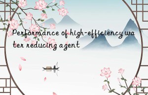 Performance of high-efficiency water reducing agent