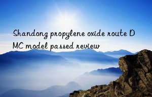 Shandong propylene oxide route DMC model passed review