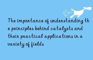 The importance of understanding the principles behind catalysts and their practical applications in a variety of fields