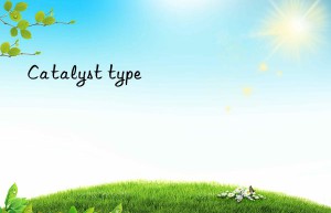 Catalyst type