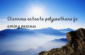 Stannous octoate polyurethane foaming process