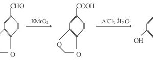 Synthetic roadmap of protocatechuic acid