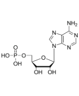 5'-Adenylate