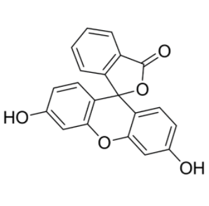 fluorescein