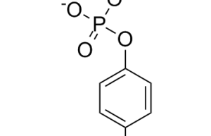 Disodium 4-nitrophenylphosphate hexahydrate