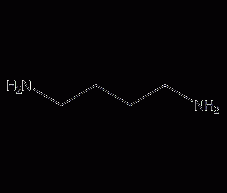 1,4-diaminobutane structural formula